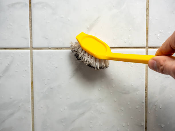 Graniteville, SC Mold Remediation Company